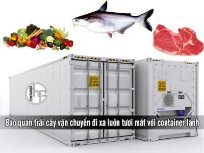 Bảo quản trái cây vận chuyển đi xa luôn tươi mát với container lạnh tại Hải Phòng