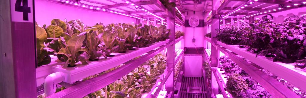 Sử dụng hệ thống đèn led trong công nghệ trồng rau bằng container lạnh