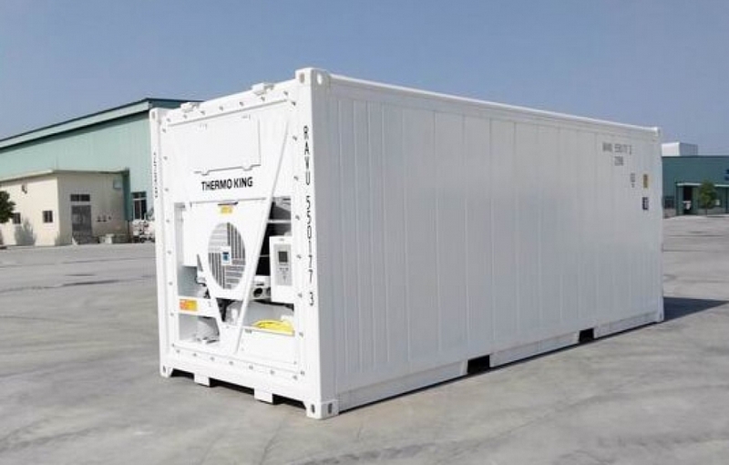 Container lạnh 20 feet cũ