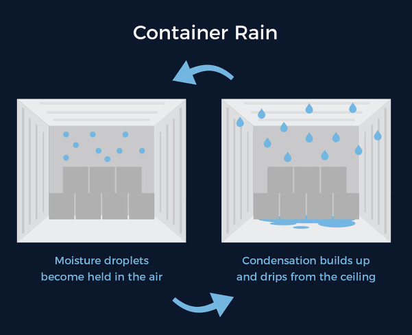 Tuổi thọ của container vận chuyển là bao lâu ? - Ảnh 3